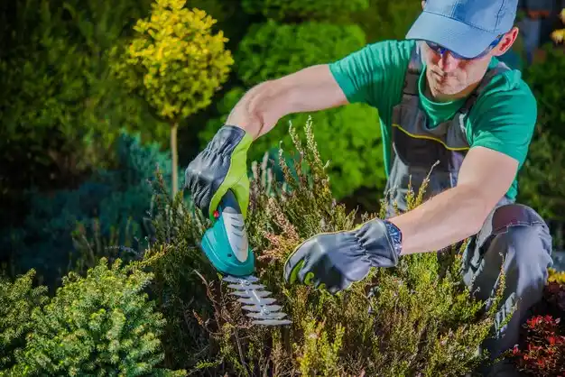 landscaping services Brewster Hill